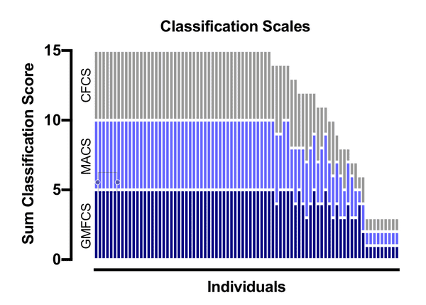 Classification Scores